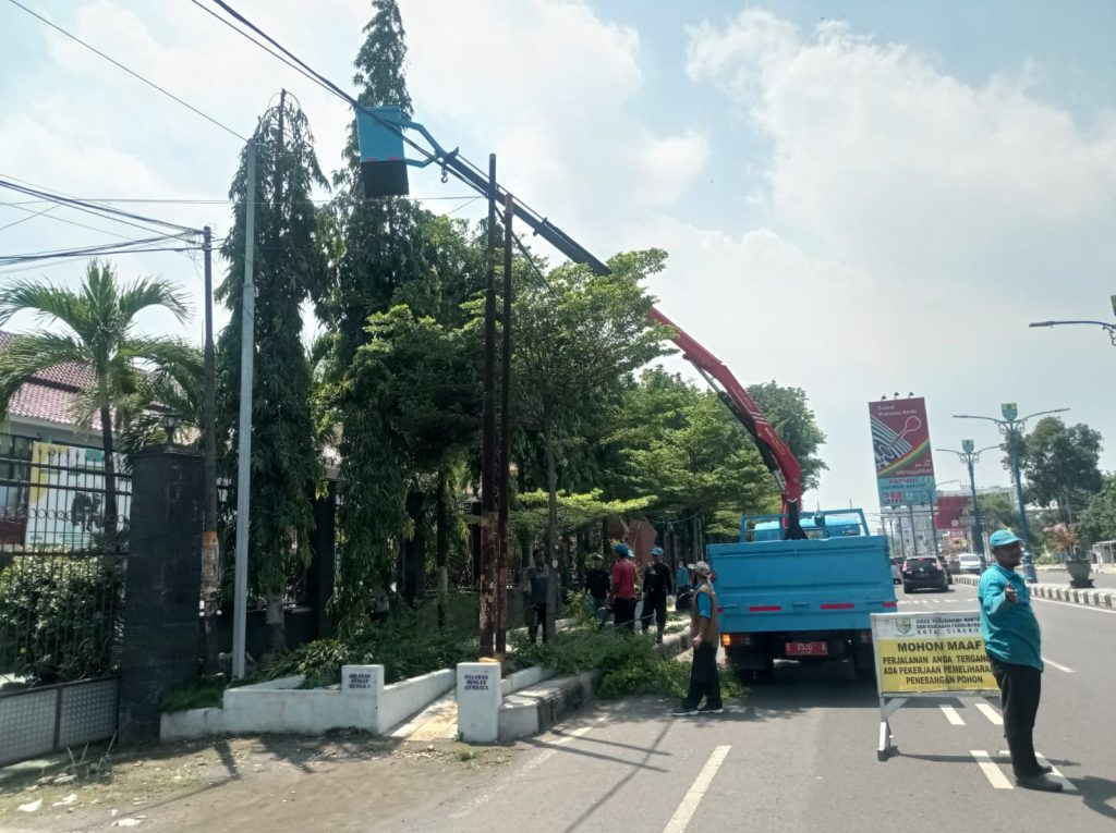 DPRKP Cirebon Rapikan Pohon di Jalan Pemuda untuk Cegah Dampak Musim Hujan Petugas DPRKP lakukan pemengkasan cegah pohon tumbang di Jalan Perjuangan. (Foto:Istimewa)