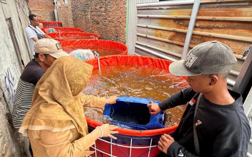 produksi perikanan di kota cirebon